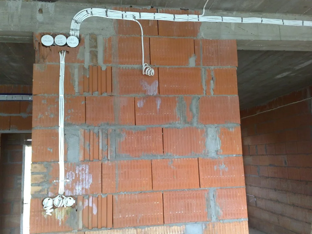Zdjęcie z galerii